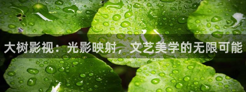在线观看红桃视频