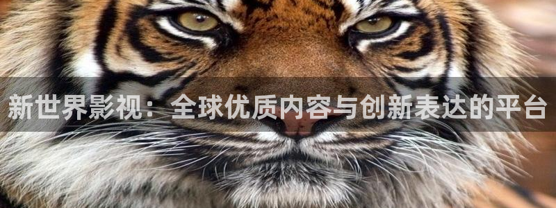 红桃影院在线播放观看高清