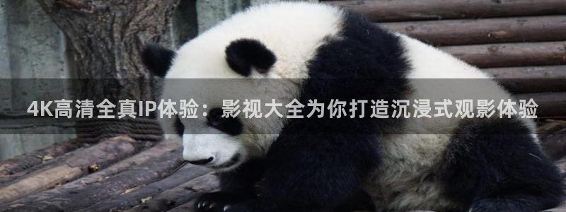 红桃电影院地址：4K高清全真IP体验：影视大全为你打造沉浸式观影体验