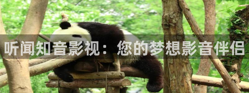红桃影院在线观看进击的巨人：听闻知音影视：您的梦想影音伴侣