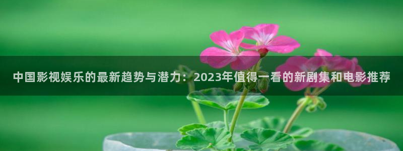 红桃影视免费看：中国影视娱乐的最新趋势与潜力：2023年值得一看的新剧集和电影推荐