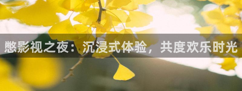 红桃影视伦理：憋影视之夜：沉浸式体验，共度欢乐时光