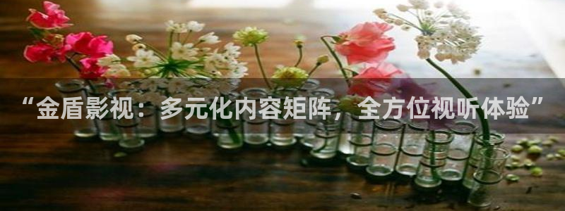 电影在线观看红桃：“金盾影视：多元化内容矩阵，全方位视听体验”