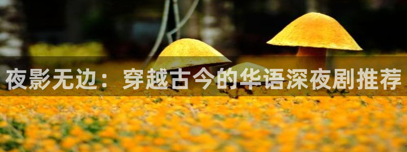 红桃影院t v：夜影无边：穿越古今的华语深夜剧推荐