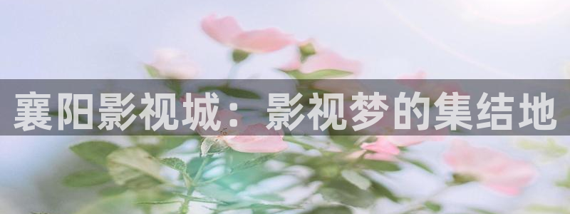 红桃影院aaaaaaaa：襄阳影视城：影视梦的集结地
