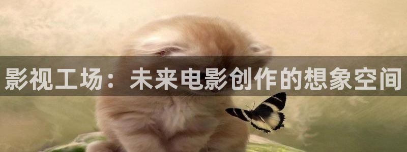 红桃影院~在线观看：影视工场：未来电影创作的想象空间